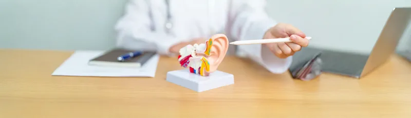 Ear, Nose and Throat Services