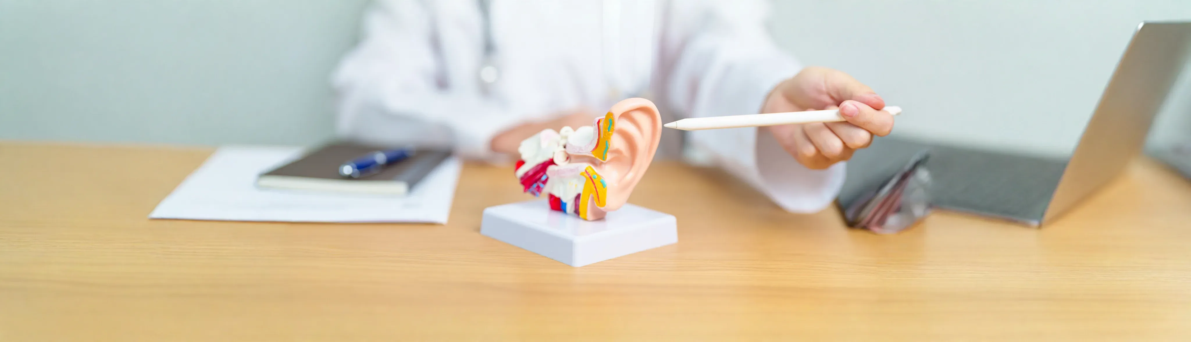 Ear, Nose and Throat Services