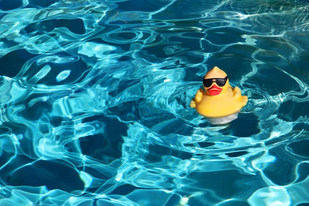 Hollywood Summer Safety Tips